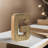 Haddam Text & Numbers Letter Block-244915088-244915100