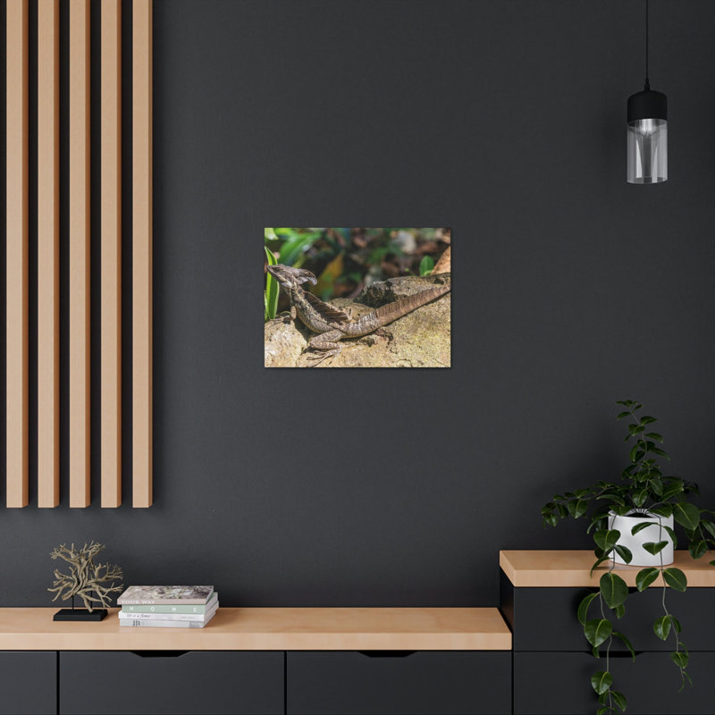 No Frame Print on Canvas, 30.48cm H x 40.64cm W