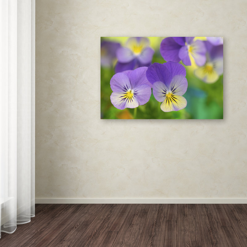 Modern & Contemporary, 12" H x 19" W x 2" D