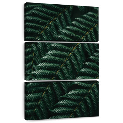 Harnek Fronds Of Ferns