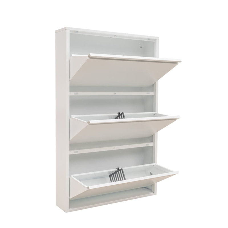 Cathelene 6 Pair Shoe Storage Cabinet, White