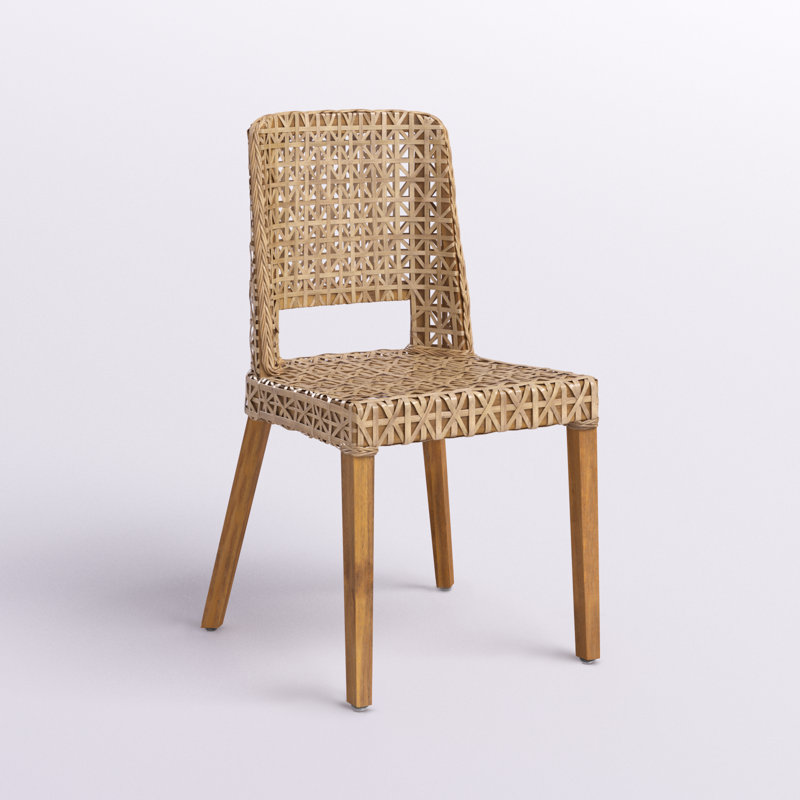 Langner 19.5'' H Side Chair