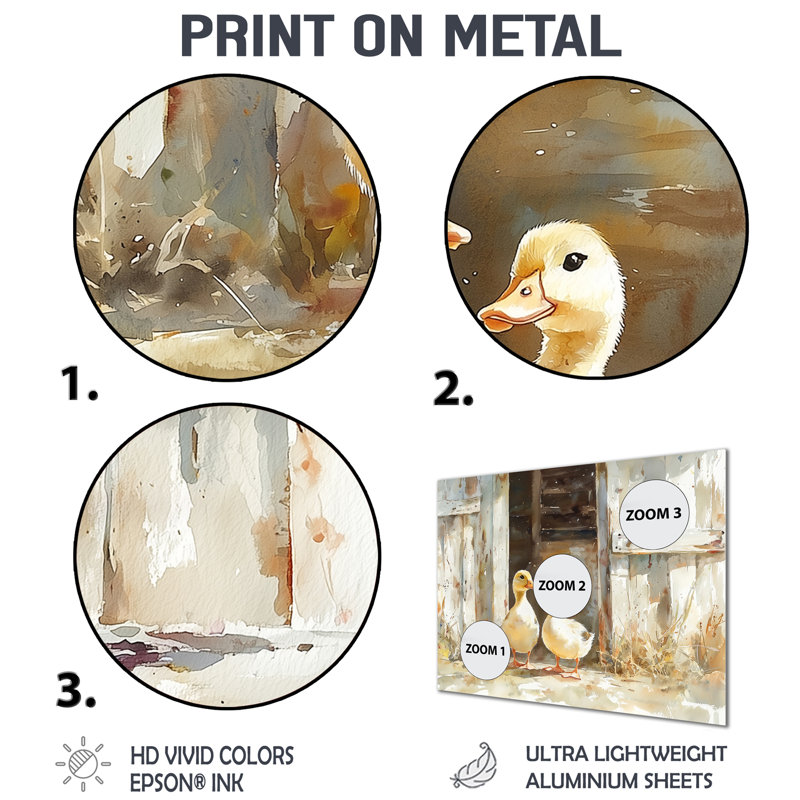 «Ducks Portrait At The Farm I», impression d'art mural en métal moderne, H 12 po x l 20 po
