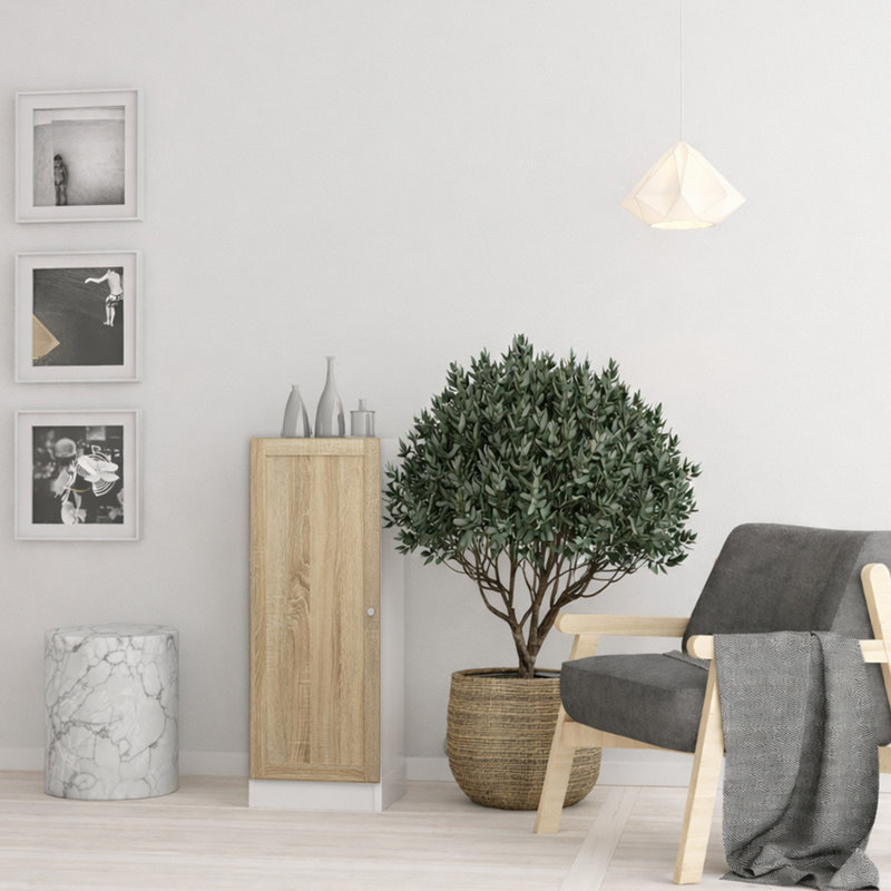 Basic Rectangle Accent Cabinet, White/Oak