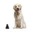 Figurine Lockbourne-511104335