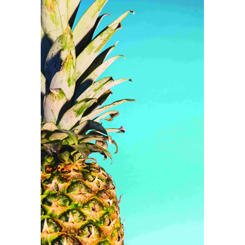 Pineapple 3, photographie sur toile tendue, H 18 po x l 12 po