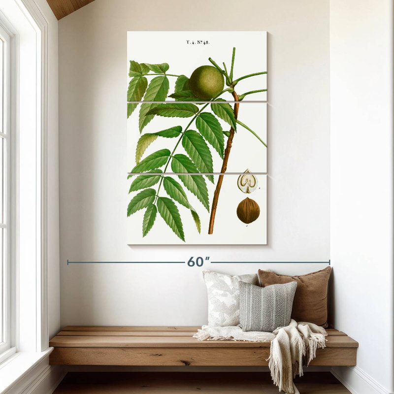 Keiri Black Walnut Juglans Nigra, 50" H x 32" W
