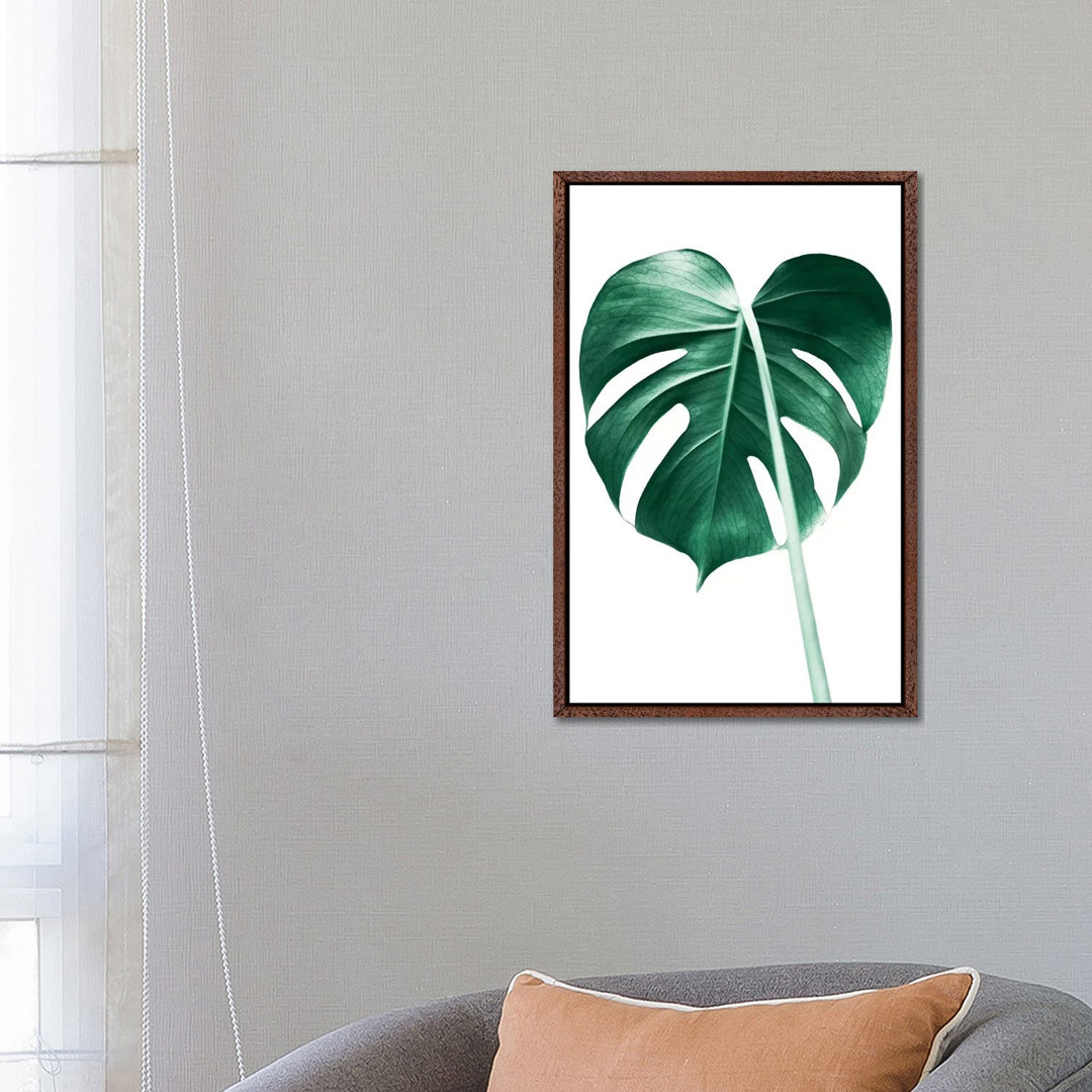 Monstera Leaf