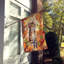 Chat en feuilles d'automne-112700523