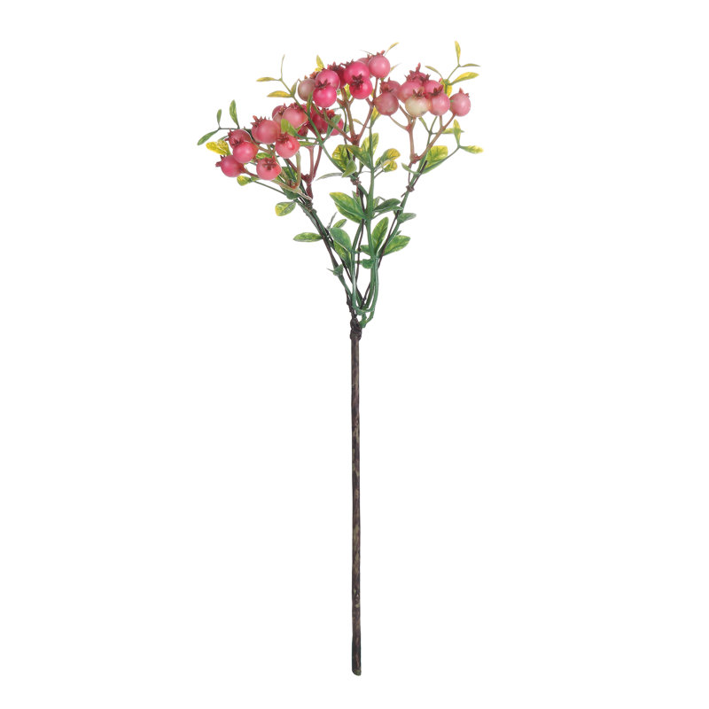 Tiges de baies, Rose