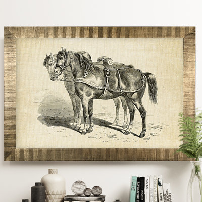 " Equine Plate I "