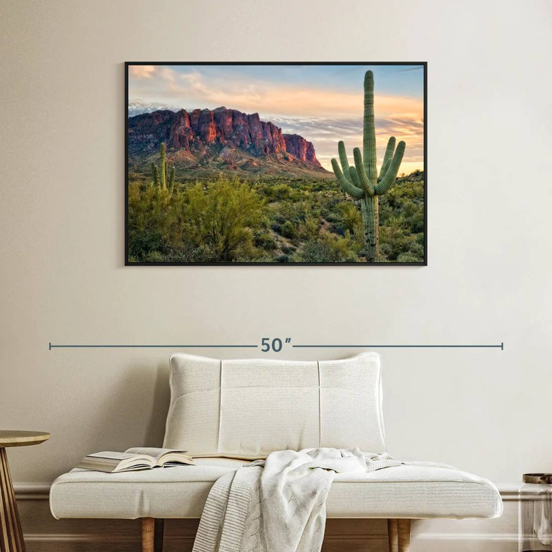 Vue de cactus Alvord II, H 27 po x l 40 po