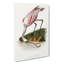 Roseate Spoonbill Bird - Wrapped Canvas-55339102
