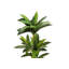 Plante en faux ciment 51,25 po Mcginnis