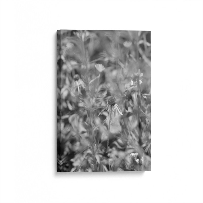 Impression sur toile «Coneflower II» par Tony Smith, H 48 po x l 32 po