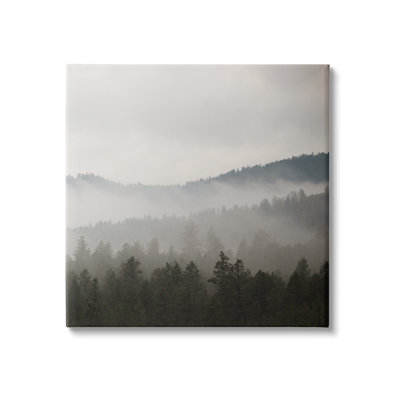 " Sun Rays Through Fog Over Woodland Mountain Hills " by Carol Robinson