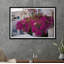Bougainvillée Oia-59121771-59121774