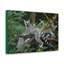 No Frame Print on Canvas-1231423361