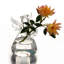 Porte-bouteilles en verre transparent-1663177507