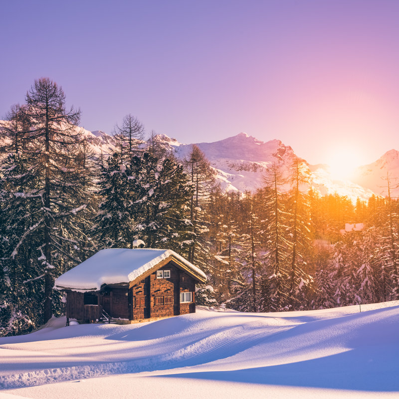 Winter by Deimagine - Wrapped Canvas Print, 30cm H x 30cm W x 3.8cm D