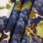 Tapisserie murale «Fruit Grape Delaware»-133648335