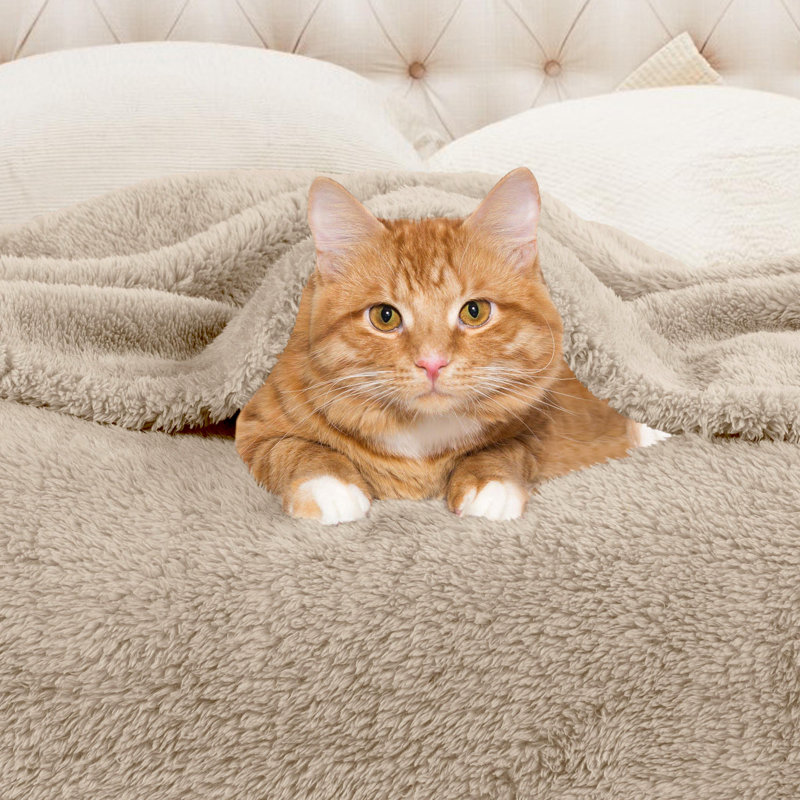 Superior Solid Polyester Reversible All-Season Fleece Throws Blanket, Throw, Linen