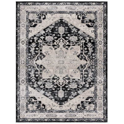 Alberte Performance Oriental Rug