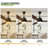 Eriby 52" Wooden Ceiling Fan with LED Lights Remote Control Reversible DC Motor 3 Blades 6 Speeds, for Living Room and Bedroom-1263579916