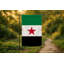 Drapeau syrien — Drapeau extérieur