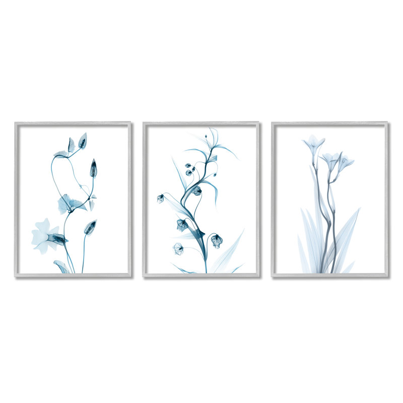 Aesthetic Minimalist Blue Botanical Floral Design par Albert Koetsier - Ensemble de 3 peintures, H 14 po x l 11 po x P 1,5 po