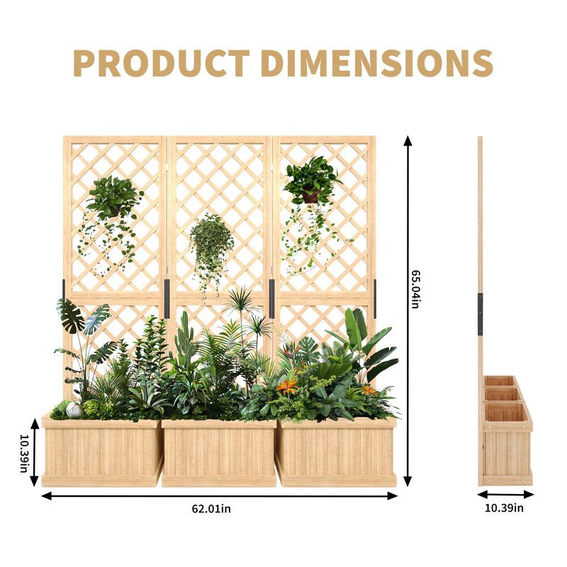 Paravent Cedar