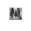 Pine Forest In Mist, Built-In Wooden Frame Wall Art, 16 X 16