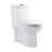 Sublime One Piece Elongated Toilet Dual Flush-99927471