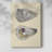 Bivalve Shells IV -Gallery Wrapped Cavas