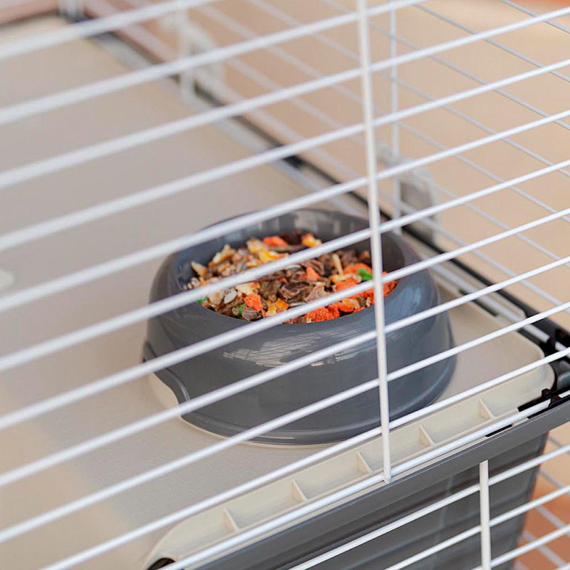 Rabbit Cage