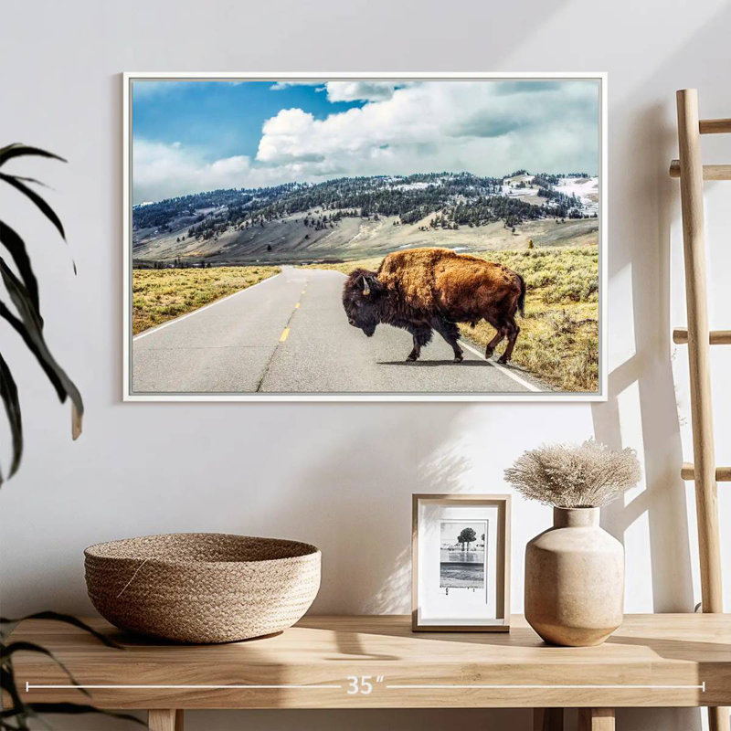 American Bison Crossing, Floating Frame White, 25" X 17"
