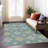Machine Washable Indoor/Outdoor Chantille ACN2566 Damask Rug-433077171-433077165