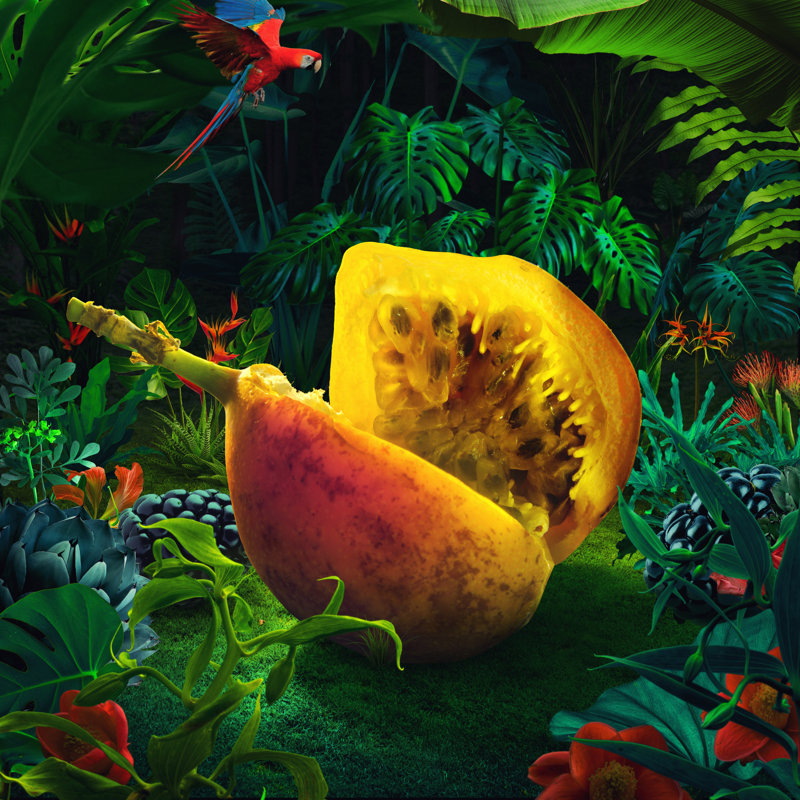 Surreal Giant Maracuja by Vizerskaya - Wrapped Canvas Print, 91cm H x 91cm W x 3.8cm D