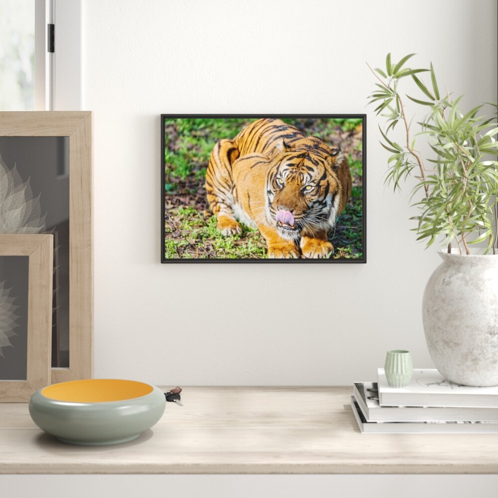 Gerahmtes Wandbild großer Tiger