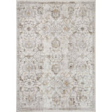 Bonney Oriental Indoor Rug