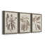 Ensemble de 3 cadres photo sur toile Midnight Tulip V-981462660-981462677
