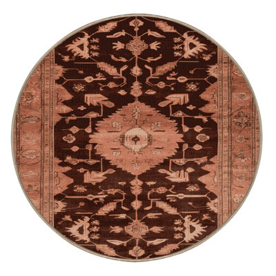 Machine Washable Overdyed Brown Area Rug