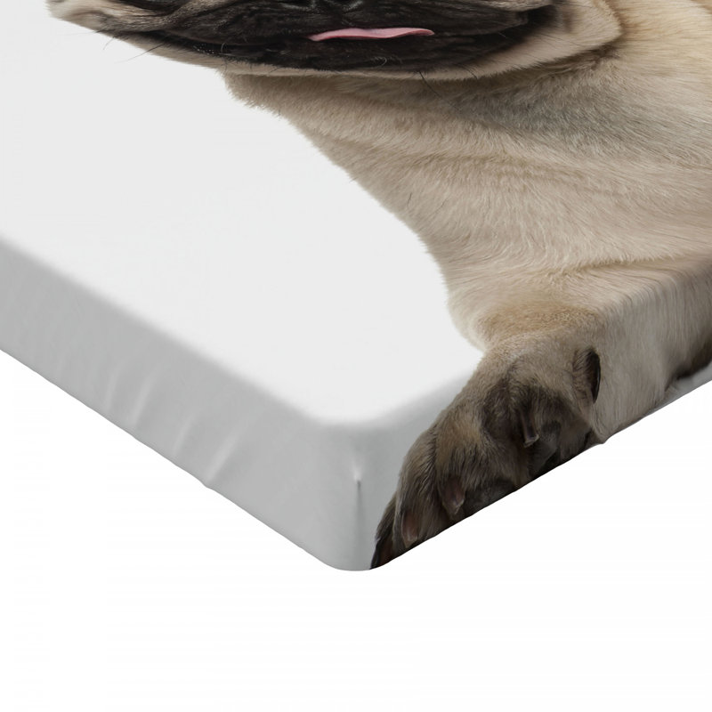 Microfiber Fitted Sheet, Queen Fitted Sheet