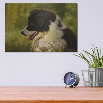 «Border Collie Garden» par John Silver