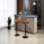 Tabouret pivotant à hauteur réglable Danyu-2114069788
