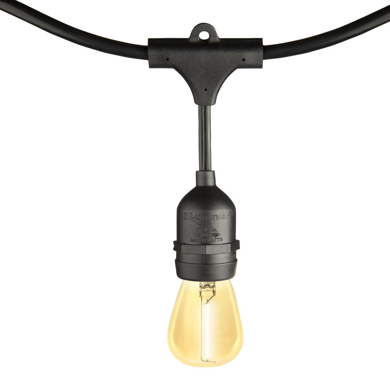 Isbah Outdoor 13 - Bulb 288'' Plug-in String Light