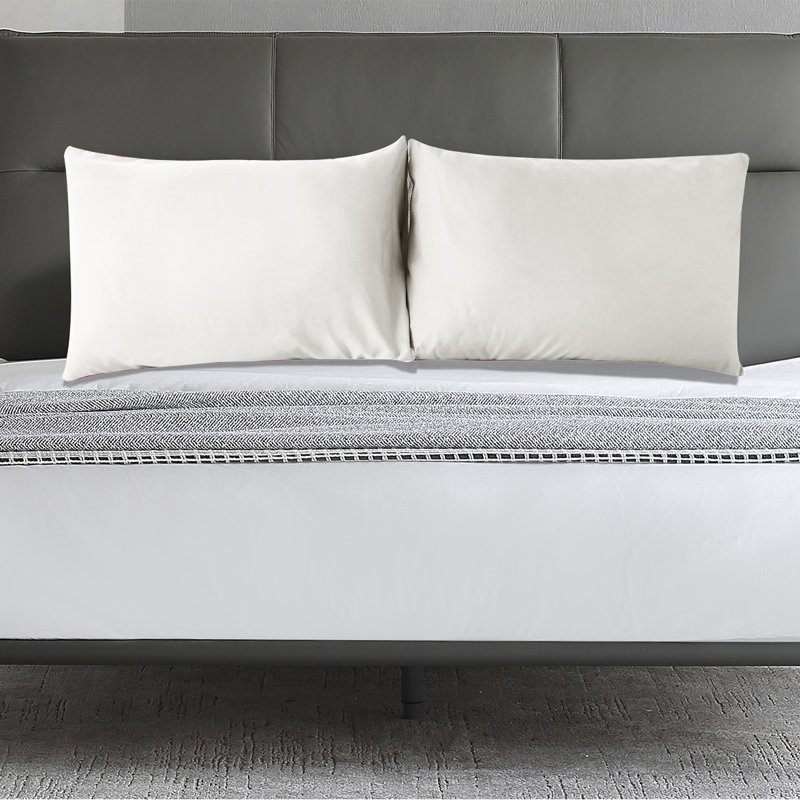 Annaley Soft Microfiber Pillowcase  (Set of 2), Ivory, King