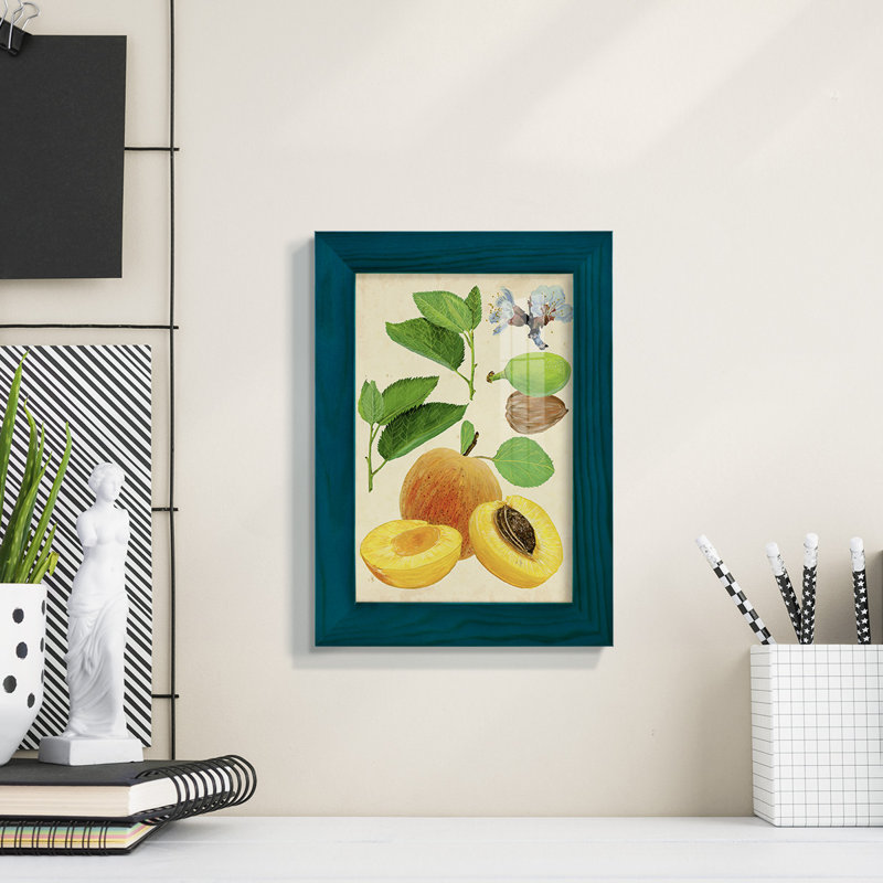 «Apricot Study I», reproduction d'art sur papier, H 6 po x l 4 po x P 1 po, Bleu