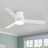 Amici Modern 48'' Flush Mount Ceiling Fan with LED Lights and Remote Control-93866032