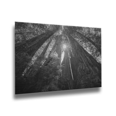 "Parmi les Giants" par Scott Barlow sur
